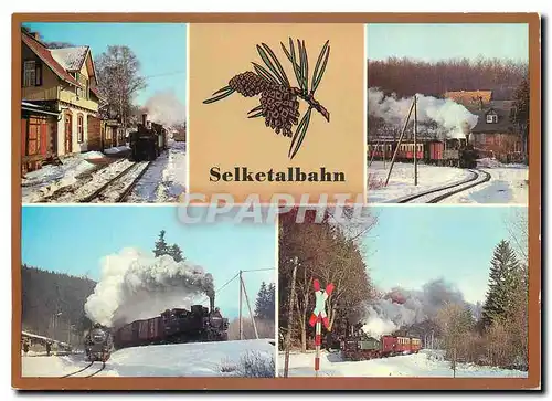 Cartes postales moderne Selketalbahn Kreis Quedlinburg Bahnhof Strassberg