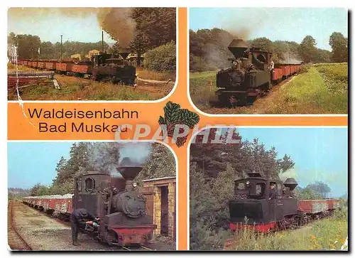 Cartes postales moderne Waldeisenbahn Bad Muskau