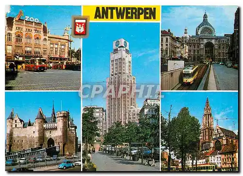 Cartes postales moderne Greetings from Antwerpen
