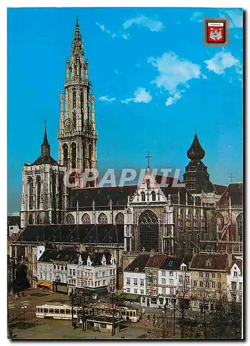 Cartes postales moderne Antwerpen The Cathedral of Our Lady