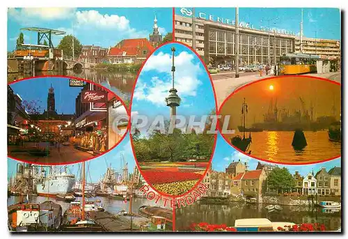 Cartes postales moderne Rotterdam Holland