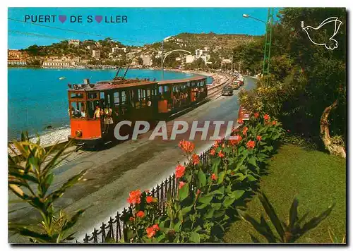 Cartes postales moderne Puerto de Soller Mallorca