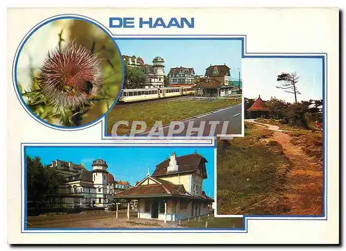 Cartes postales moderne Un bonjour de Haan