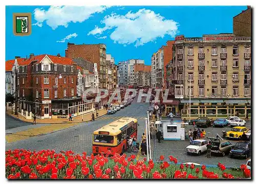 Cartes postales moderne DE PANNE  zeelaan