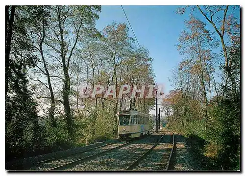 Cartes postales moderne Photo: Olivier GEERINCK