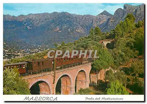 Cartes postales moderne MALLORCA N� 1114