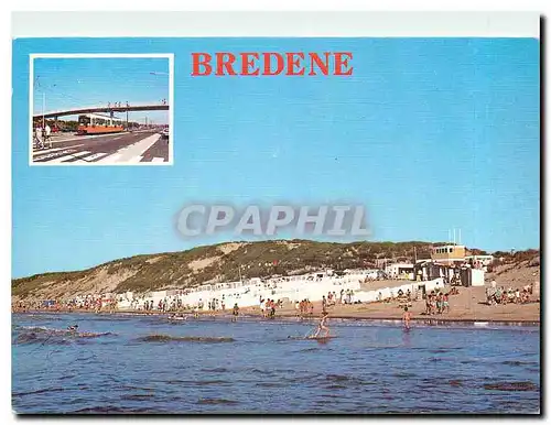 Cartes postales moderne LA CODE BELGE Bredene