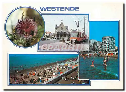 Cartes postales moderne Un bonjour de Westende