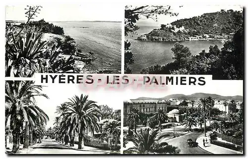 Cartes postales moderne Hyeres les Palmiers