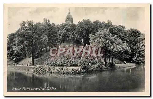 Cartes postales Breslau Partie an der Liebichshohe