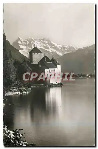 Cartes postales moderne Chillon Chateau de Chillon et Dents du Midi