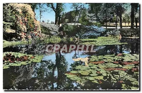 Moderne Karte Saint Agreve l'Etang des Nenuphars a Clavieres