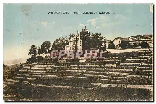 Cartes postales Neustadt petit Chateau du Haardt