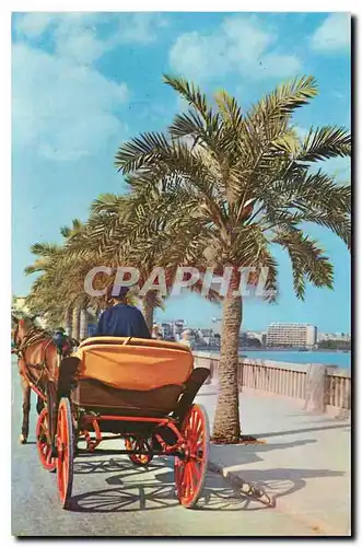 Cartes postales moderne Mallorca Espain