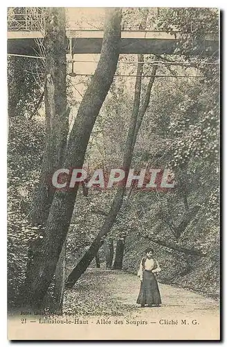 Cartes postales Lamalou le Haut Allee des Soupirs Cliche