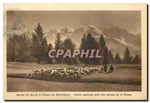 Ansichtskarte AK Servoz HS et la Chaine du Mont Blanc Foesie pastorale pres des Gorges de la Diosaz