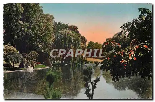 Cartes postales moderne Valenciennes Jardin Public de la Rhonelle