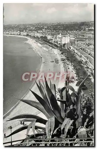 Cartes postales moderne Nice Vue generale prise du Chateau