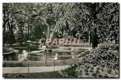 Cartes postales Offenburg die Pforte zum Schqarzwald Schwanenteich im Stadtgarten