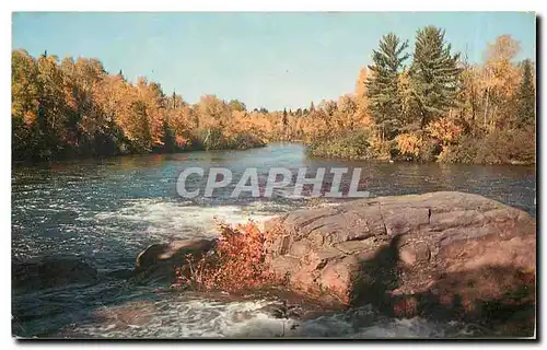 Cartes postales moderne Philippines Rugged Rocks and a Rapid River amid Autumn Colorama
