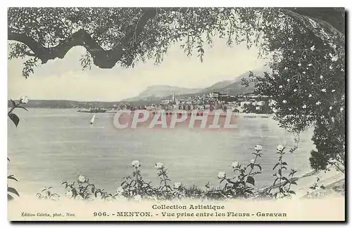 Cartes postales Menton Vue prise entre les Fleurs Garavan