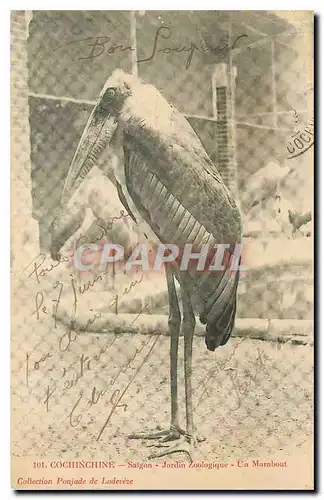 Cartes postales Cochinchine Saigon Jardin Zoologique Un Marabout