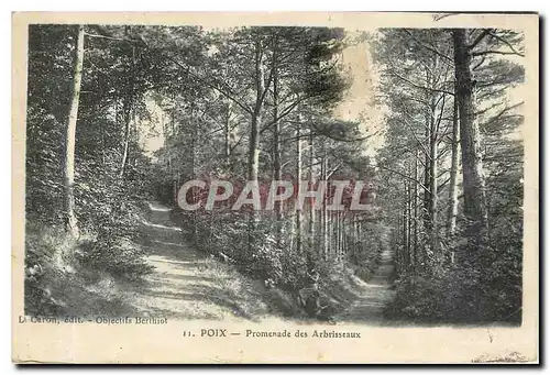 Cartes postales Poix Promenade des Arbrisseaux