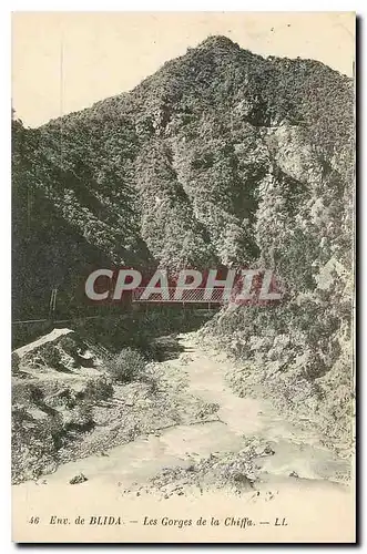 Cartes postales Env de Blida Les Gorges de la Chiffa