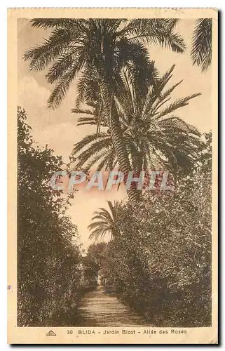 Cartes postales Blida Jardin Bizot Allee des Roses