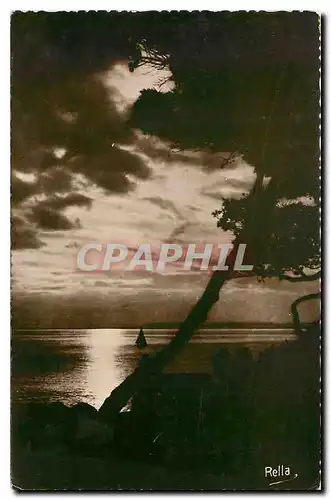 Cartes postales La Cote d'Azur Contre jour