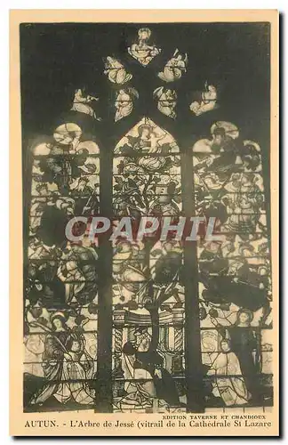 Cartes postales Autun L'Arbre de Jesse Vitrail de la Cathedrale St Lazare