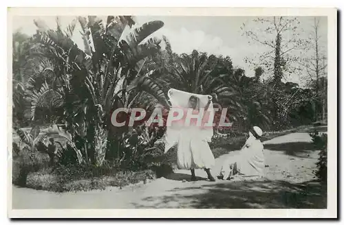 Ansichtskarte AK Alger Promenade au Jardin d'Essai