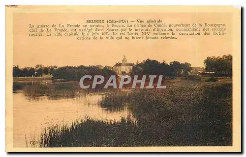 Ansichtskarte AK Seurre Cote d'Or Vue generale