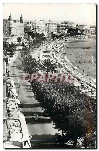 Cartes postales moderne Cannes La Croisette