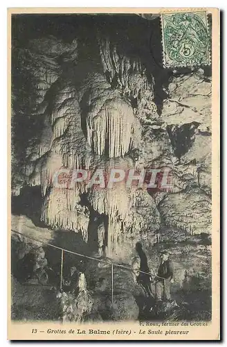 Ansichtskarte AK Grottes de La Balme Isere Le Saule pieureur