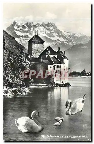 Cartes postales moderne Chateau de Chillon et Dents du Midi Cygnes