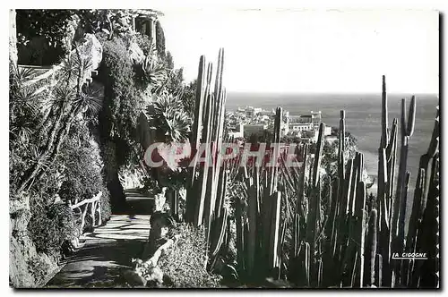 Moderne Karte Principaute de Monaco Le Jardin Exotique et vue sur le Rocher