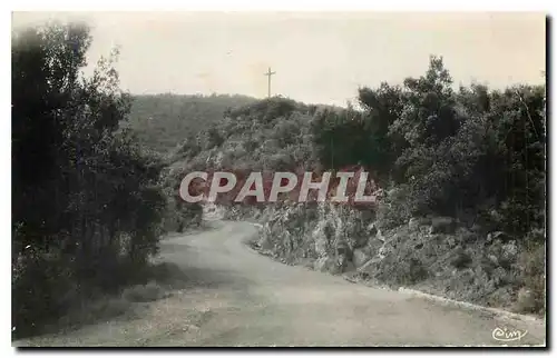 Cartes postales moderne Amelie les Bains Pyr Or Route de Montbollo et la Croix