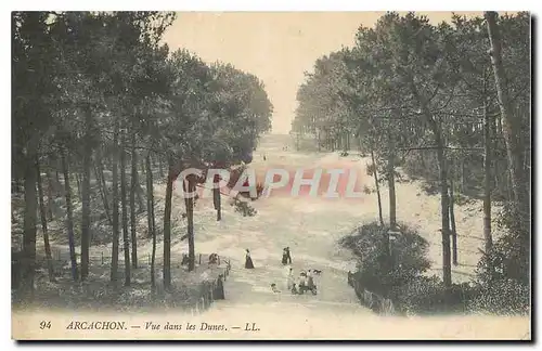 Ansichtskarte AK Arcachon Vue dans les Dunes