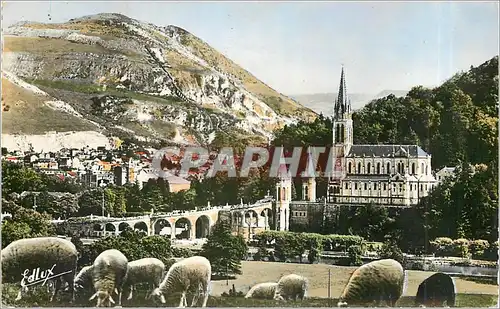 Ansichtskarte AK LOURDES La Basilique et le Pic du Jer