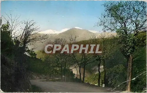 Cartes postales AMELIE LES BAINS Perle des Pyrenees