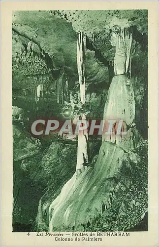 Cartes postales Les Pyr�n�es_ Grottes de BETHARRAM_Colonne de Palmiers
