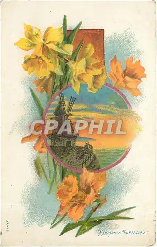 Cartes postales Narcisse Porillons Fleurs Moulin a vent