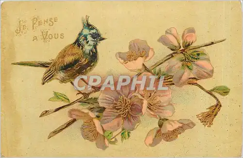 Cartes postales JE PENSE A VOUS Fleurs Oiseau