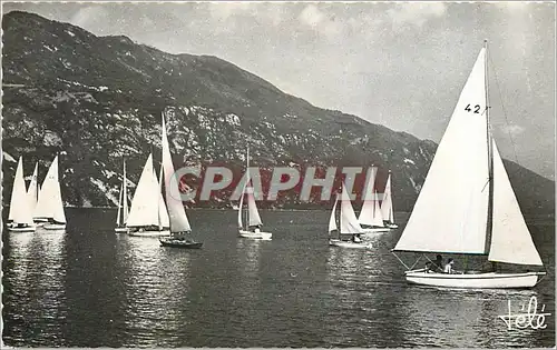 Cartes postales moderne LAC du BOURGET et ses voiliers Bateaux