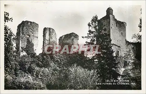 Cartes postales VEND�ME   Les ruines du Ch�teau