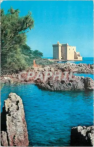 Cartes postales moderne Environs de CANNES Ruines du vieux ch�teau