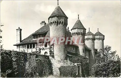 Cartes postales moderne THONON-LES-BAINS Le ch�teau de Ripaille