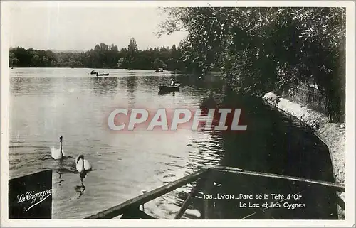 Cartes postales Lyon-Prc de la T�te d'Or Le lac et les cygnes