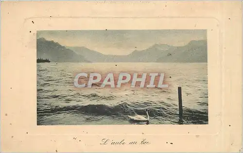Cartes postales L'aube du lac Cygne